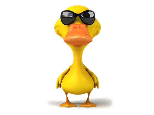 sfr_png_Ente-Sonnenbrille-in-front_1100x1571_orig Ilustration - coole, gelbe Ente mit Sonnenbrille, die dem Betrachter selbstbewusst in die Augen schaut