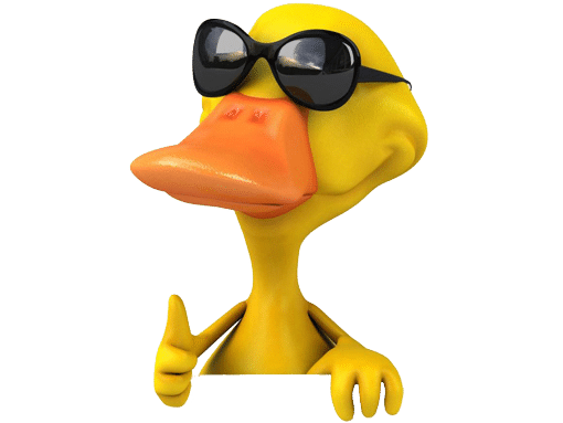 Illustration: Brustbild Ente mit Sonnenbrille - rechter Daumen hoch